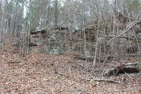 000 Old Brewer, Greers Ferry, AR 72044 photo 26