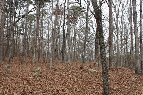 000 Old Brewer, Greers Ferry, AR 72044 photo 51
