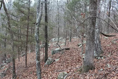 000 Old Brewer, Greers Ferry, AR 72044 photo 49