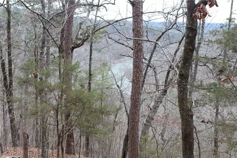 000 Old Brewer, Greers Ferry, AR 72044 photo 50