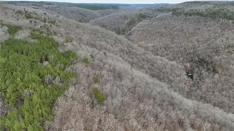 000 Old Brewer, Greers Ferry, AR 72044 photo 11