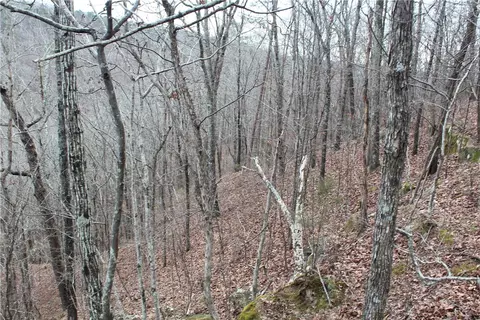 000 Old Brewer, Greers Ferry, AR 72044 photo 39