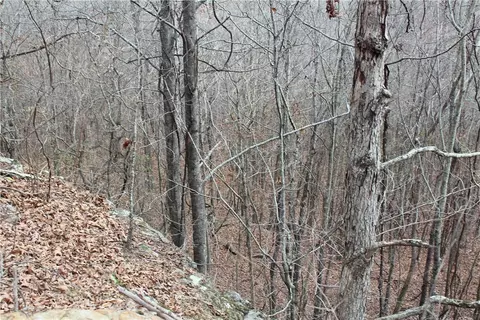 000 Old Brewer, Greers Ferry, AR 72044 photo 23