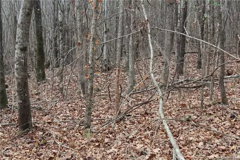 000 Old Brewer, Greers Ferry, AR 72044 photo 32