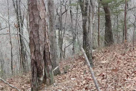 000 Old Brewer, Greers Ferry, AR 72044 photo 57