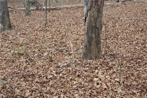 000 Old Brewer, Greers Ferry, AR 72044 photo 45