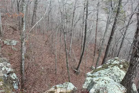 000 Old Brewer, Greers Ferry, AR 72044 photo 40