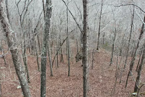 000 Old Brewer, Greers Ferry, AR 72044 photo 37
