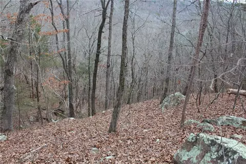000 Old Brewer, Greers Ferry, AR 72044 photo 54