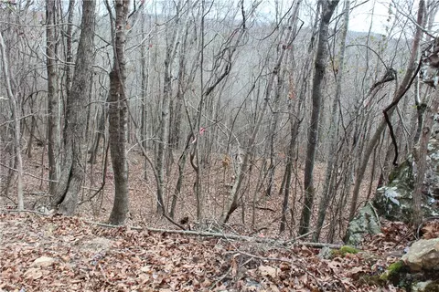 000 Old Brewer, Greers Ferry, AR 72044 photo 24