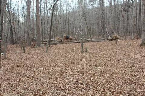 000 Old Brewer, Greers Ferry, AR 72044 photo 59