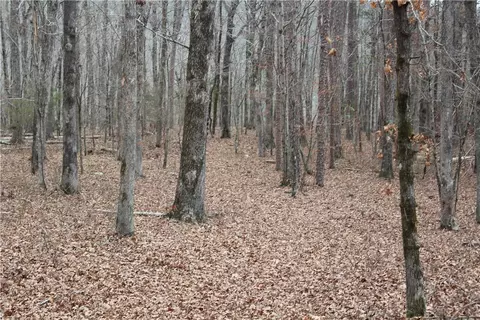 000 Old Brewer, Greers Ferry, AR 72044 photo 33