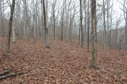 000 Old Brewer, Greers Ferry, AR 72044 photo 36