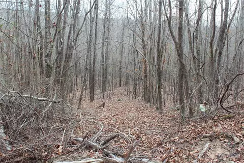 000 Old Brewer, Greers Ferry, AR 72044 photo 28