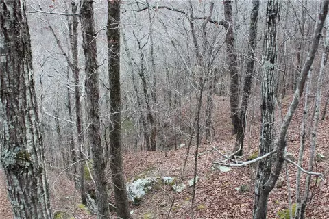 000 Old Brewer, Greers Ferry, AR 72044 photo 38