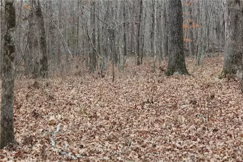 000 Old Brewer, Greers Ferry, AR 72044 photo 58