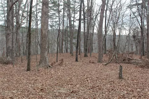 000 Old Brewer, Greers Ferry, AR 72044 photo 60