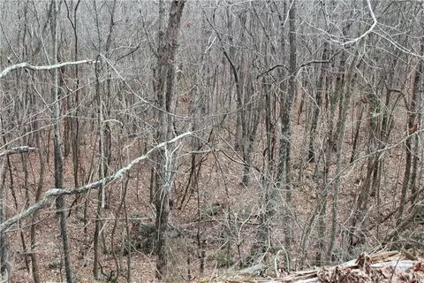 000 Old Brewer, Greers Ferry, AR 72044 photo 22