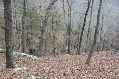 000 Old Brewer, Greers Ferry, AR 72044 photo 53