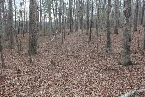 000 Old Brewer, Greers Ferry, AR 72044 photo 55