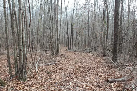 000 Old Brewer, Greers Ferry, AR 72044 photo 31