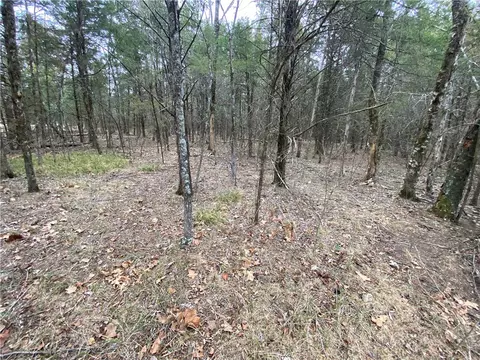 Pine Street, Diamond City, AR 72644