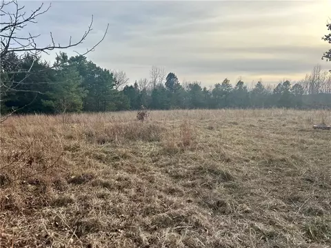 3977 Buck Mountain Rd, Dover, AR 72837 photo 12
