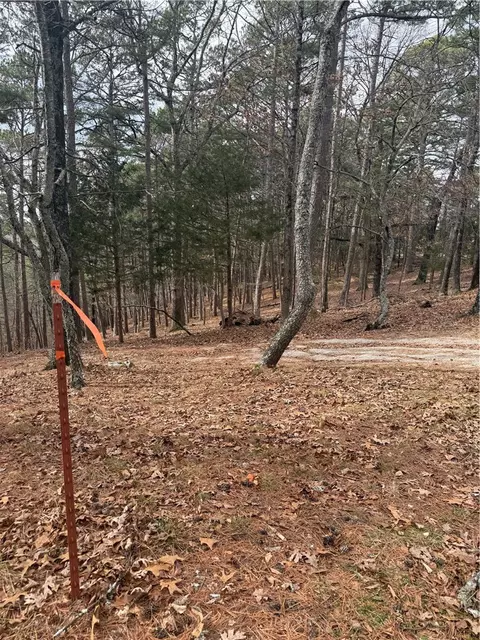 E Mountain Drive, Eureka Springs, AR 72632