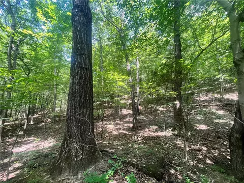 Hwy 374, Jasper, AR 72641 photo 18