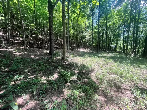 Hwy 374, Jasper, AR 72641 photo 25