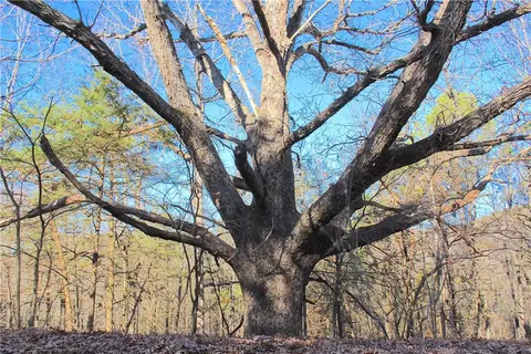 Cr 6012, Berryville, AR 72616