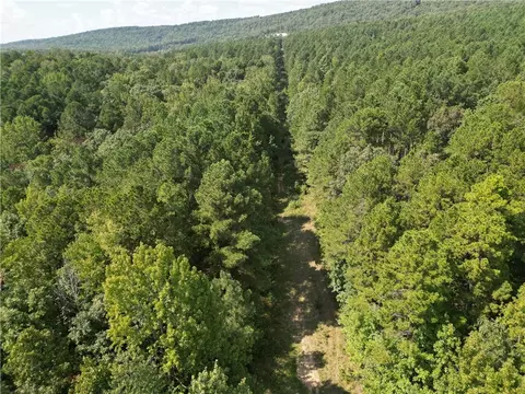 Broomfield Road, Dover, AR 72837 photo 3