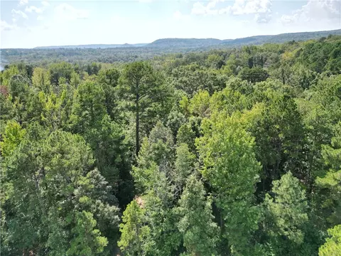 Broomfield Road, Dover, AR 72837 photo 4