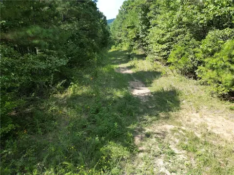 Broomfield Road, Dover, AR 72837 photo 6