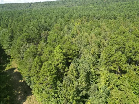 Broomfield Road, Dover, AR 72837 photo 2