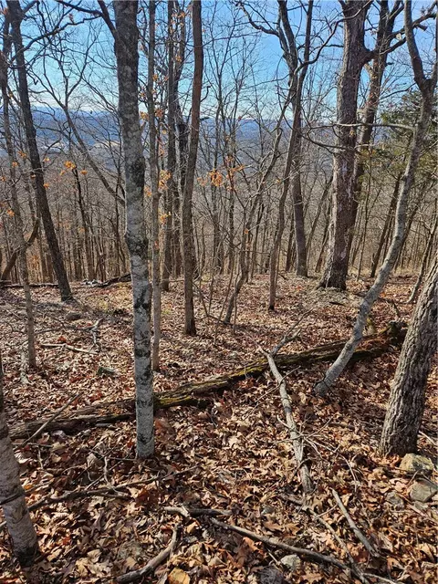 11 Holiday Island Drive, Eureka Springs, AR 72631