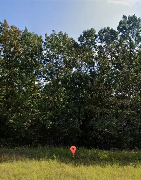 lot134 010-00329-000, Briarcliff, AR 72653