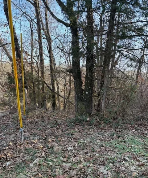 lot48 Block 38 Cedar Crest Dr, Bella Vista, AR 72714