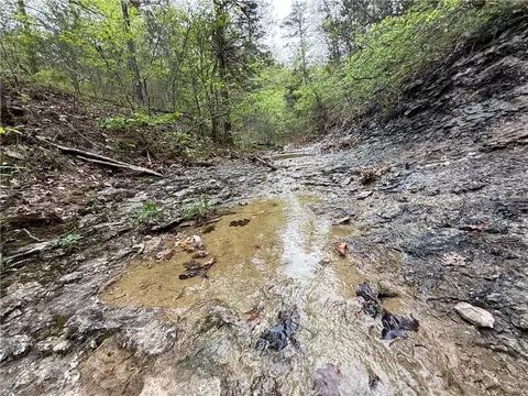3 Cardinal Ridge Road, Eureka Springs, AR 72632