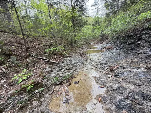 4 Cardinal Ridge Road, Eureka Springs, AR 72632