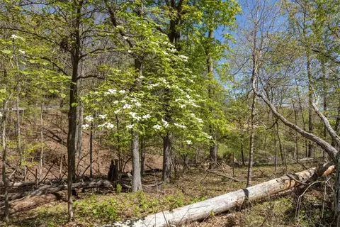65 Rivercliff Rd, Rogers, AR 72756 photo 23
