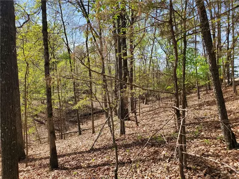 65 Rivercliff Rd, Rogers, AR 72756 photo 20