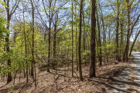 65 Rivercliff Rd, Rogers, AR 72756 photo 32