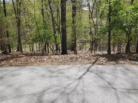 65 Rivercliff Rd, Rogers, AR 72756 photo 22