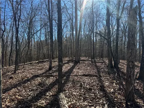 953 Nc 8920, Deer, AR 72628 photo 35