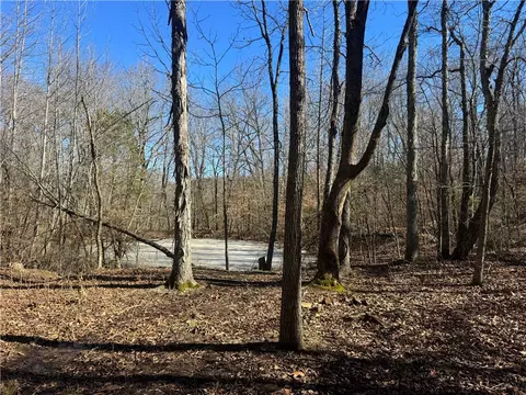 953 Nc 8920, Deer, AR 72628 photo 14