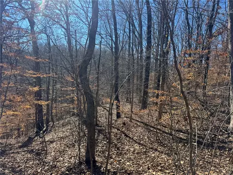 953 Nc 8920, Deer, AR 72628 photo 25