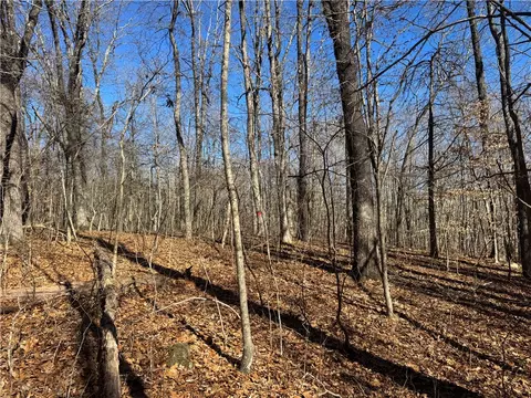 953 Nc 8920, Deer, AR 72628 photo 22