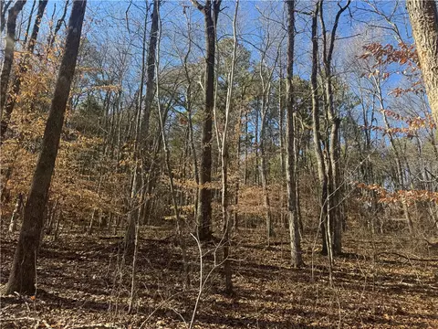 953 Nc 8920, Deer, AR 72628 photo 49