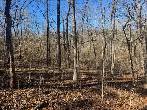 953 Nc 8920, Deer, AR 72628 photo 55